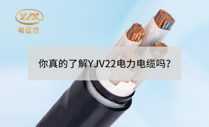 你真的了解YJV22電力電纜嗎？