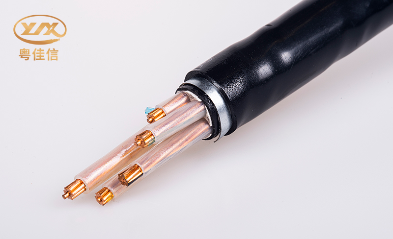 微信圖片_20250522154126 微信圖片_20250522154126