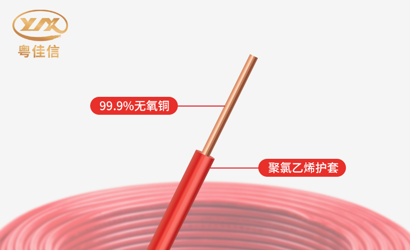 微信圖片_20250527142525 微信圖片_20250527142525