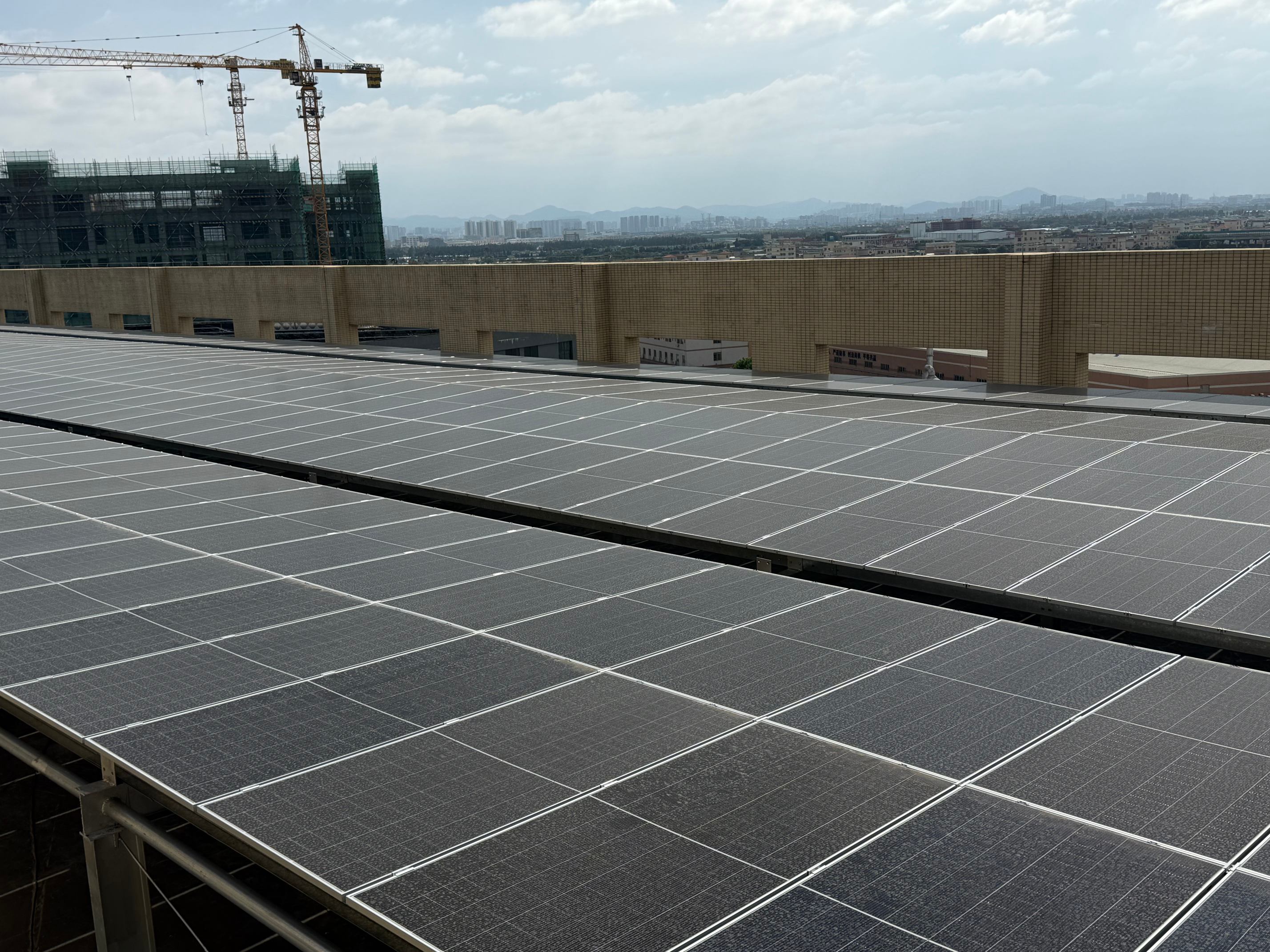 IMG_1471(1) IMG_1471(1)