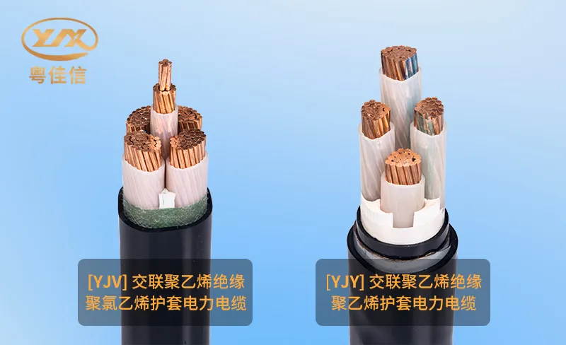 微信圖片_20251202162004_1011_45 微信圖片_20251202162004_1011_45