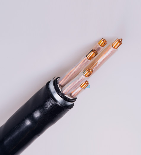 YJV22_交聯(lián)聚乙烯絕緣聚氯乙烯護(hù)套電力電纜 YJV22_交聯(lián)聚乙烯絕緣聚氯乙烯護(hù)套電力電纜